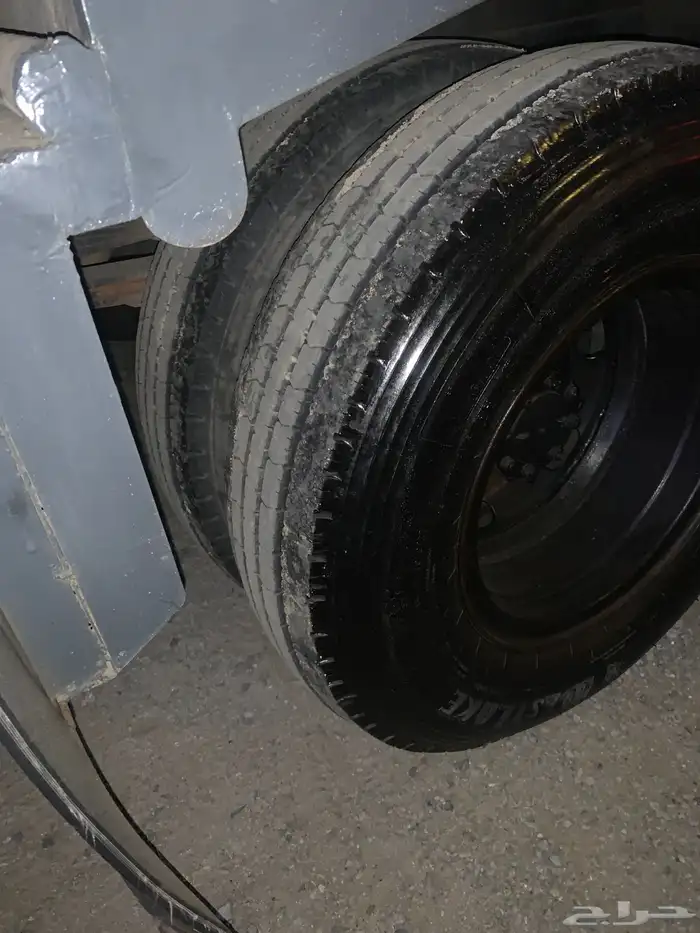 جنوط دينا شنبر 2