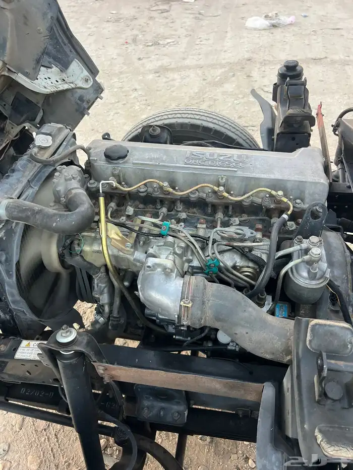 دينا قلاب سيزو 2002 9