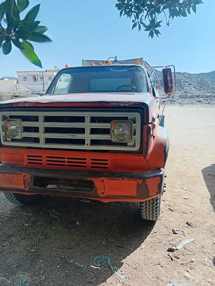 جمس وايت شرط 2
