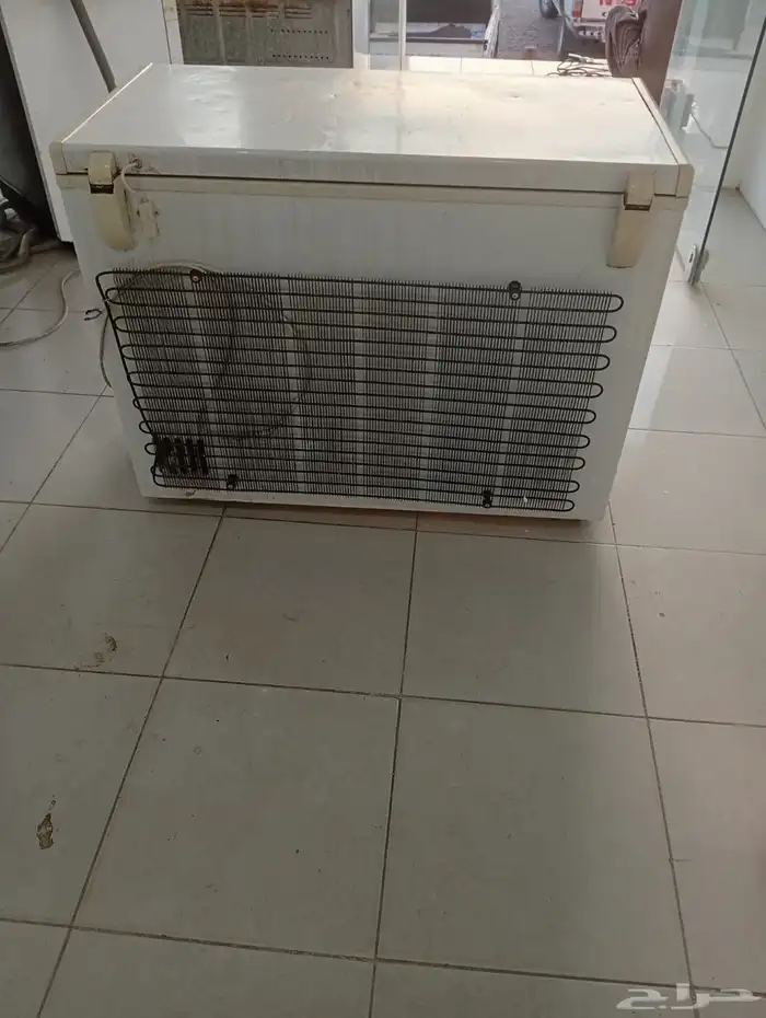 فريزل bronzing ( مباع ) 1