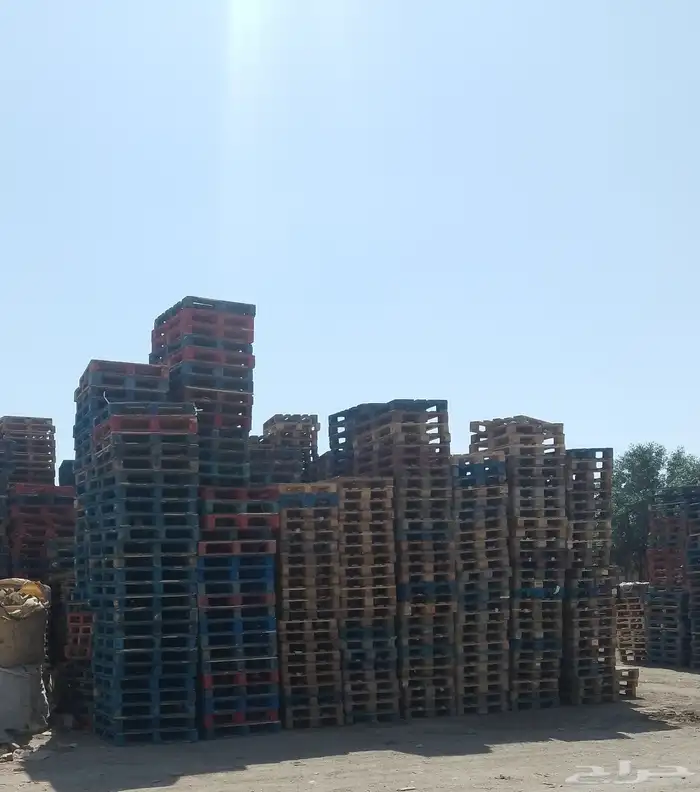 طبالي بنده وطبالي يورو 0