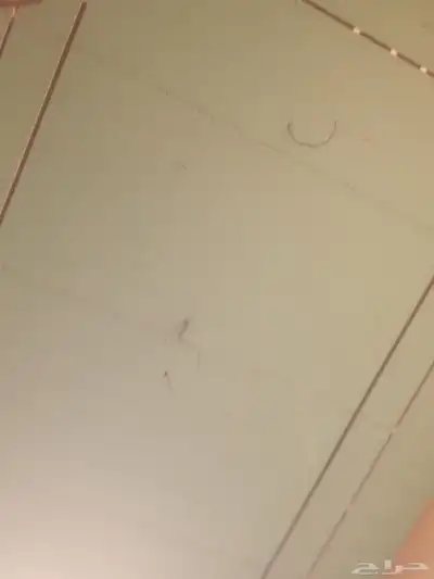 مليس مصري موجود في جيزان وصامطه واجاره وبروفايل 0