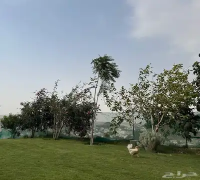 عروض إجازة الخريف   ( الحجز من الان ) index