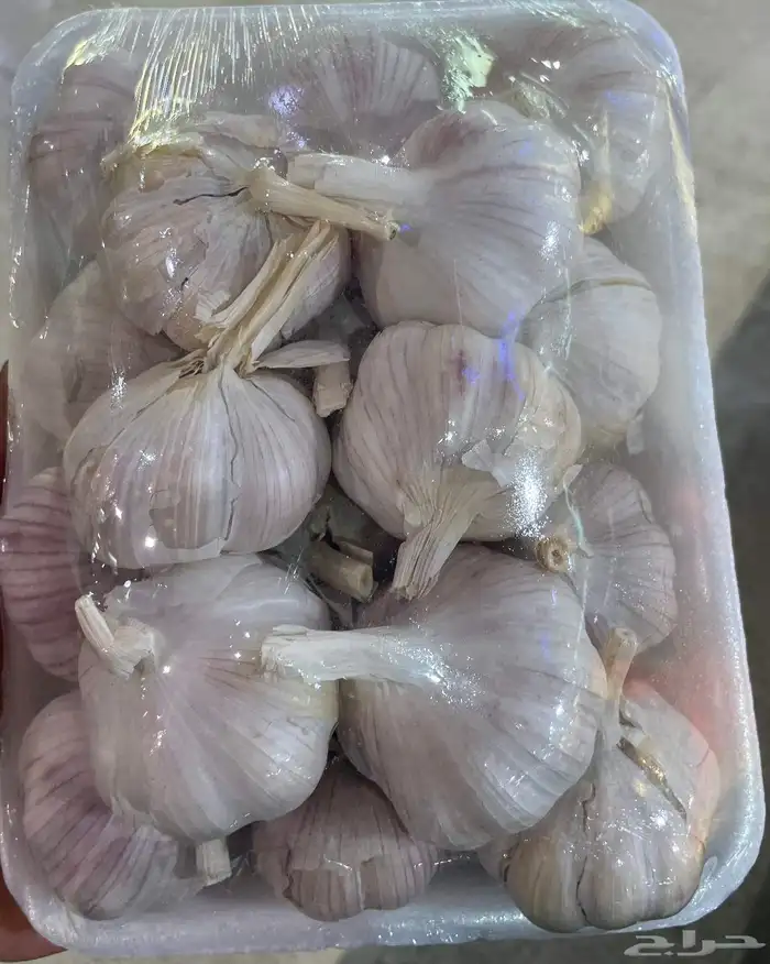 خضار للبيع لطلب 13