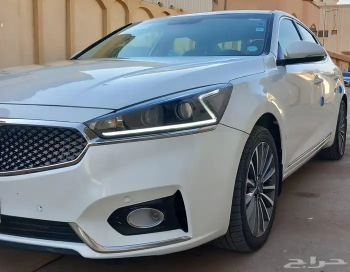 كادينزا 2020 12