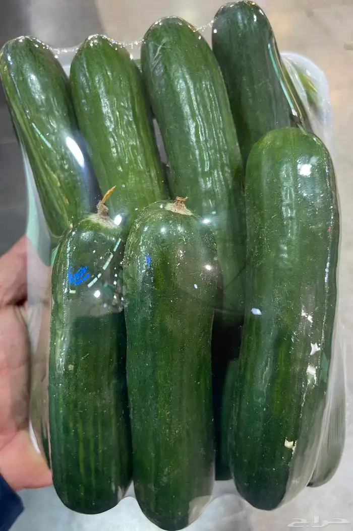 خضار للبيع لطلب 8