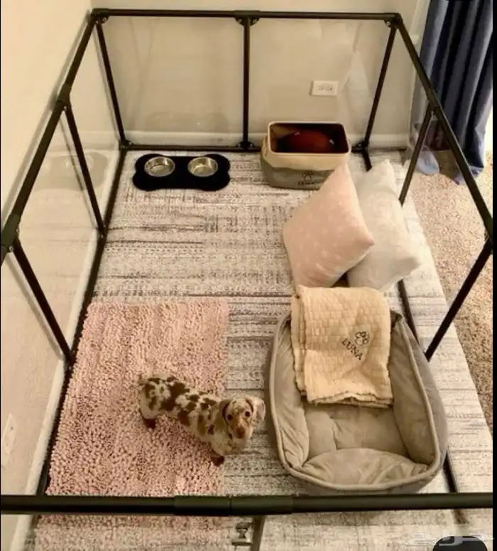 فندقة كلاب منزليه 2