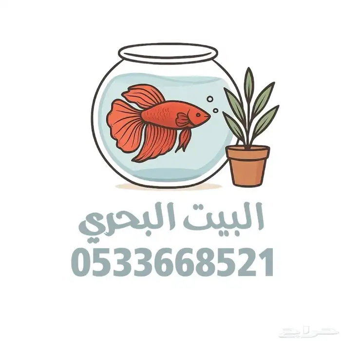 جميع أسماك الفايتر بألوان متعددة فقط ب10 ريال 0