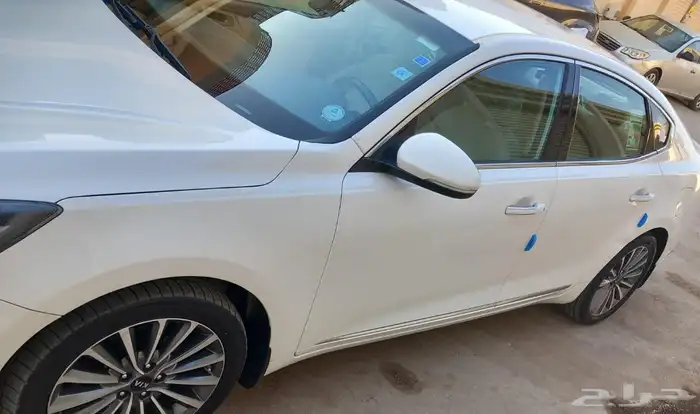 كادينزا 2020 7