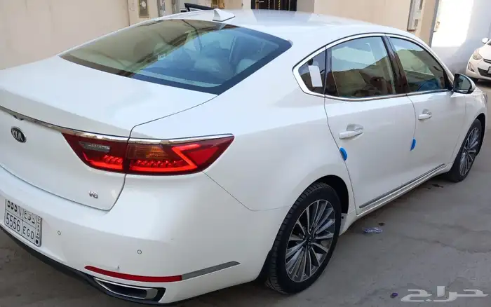 كادينزا 2020 5