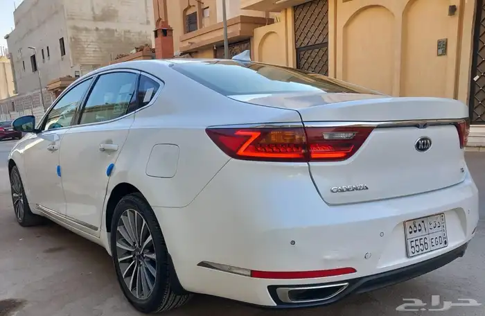 كادينزا 2020 14