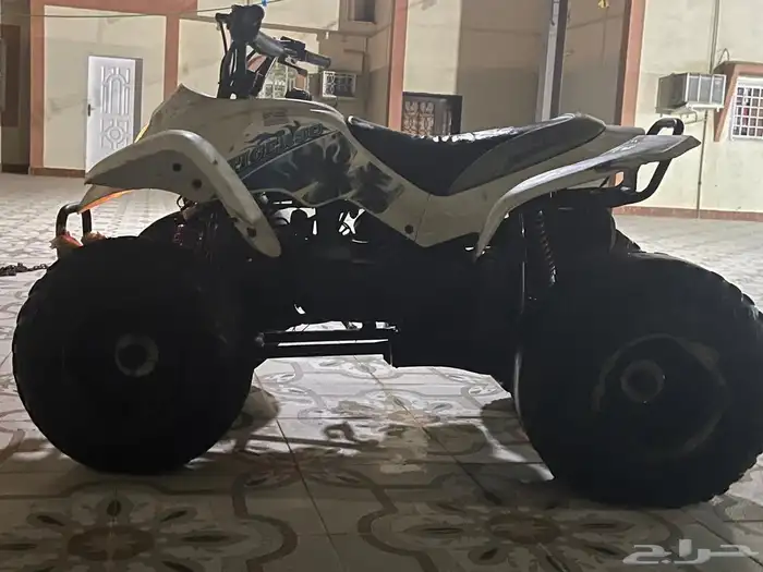 دباب للبيع ابو أربعة 5