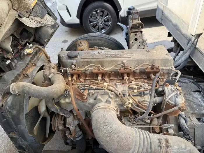 دينا ايسوزو 2005 6