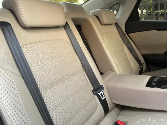 رينو 2018 تاليسمان ( بحالة ممتازة ) 59