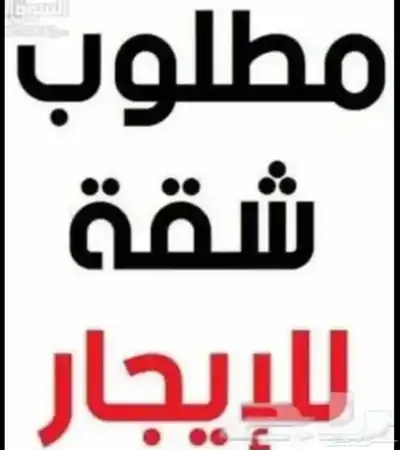 ابحث عن شقة مناسبه وسعرها مناسب 0