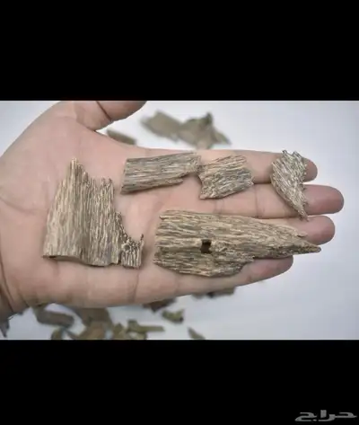 عود جنوب تايلندي جبلي مني سوبر 0