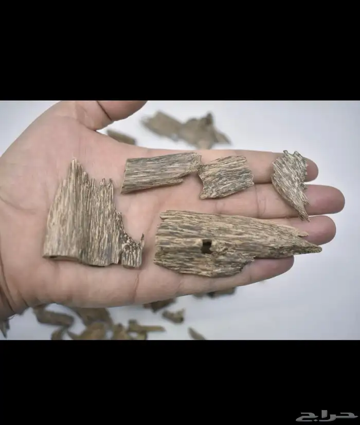 عود جنوب تايلندي جبلي مني سوبر 0
