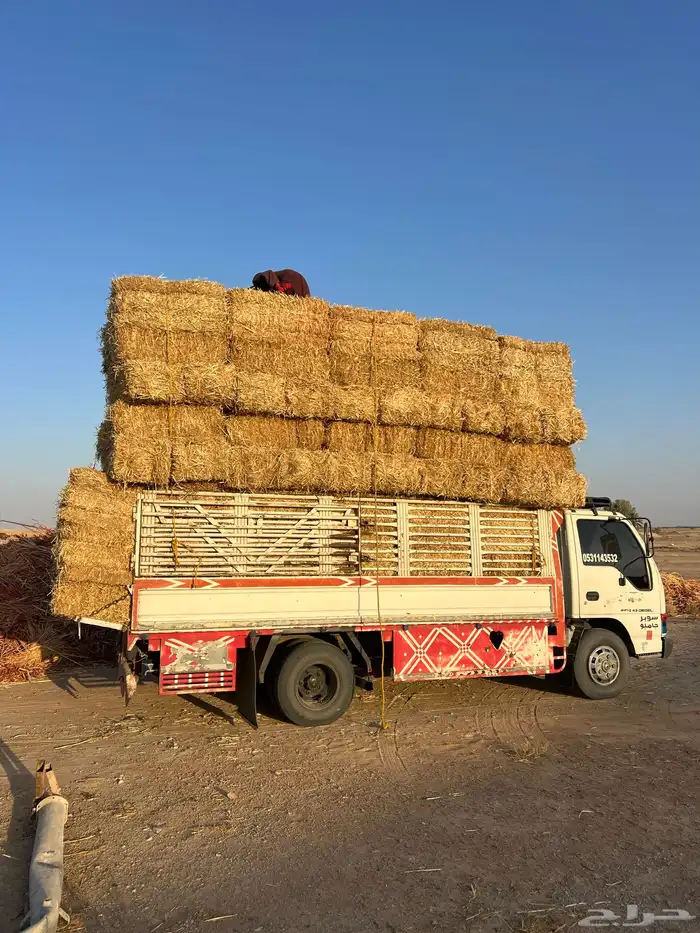 تبن بر صافي 1