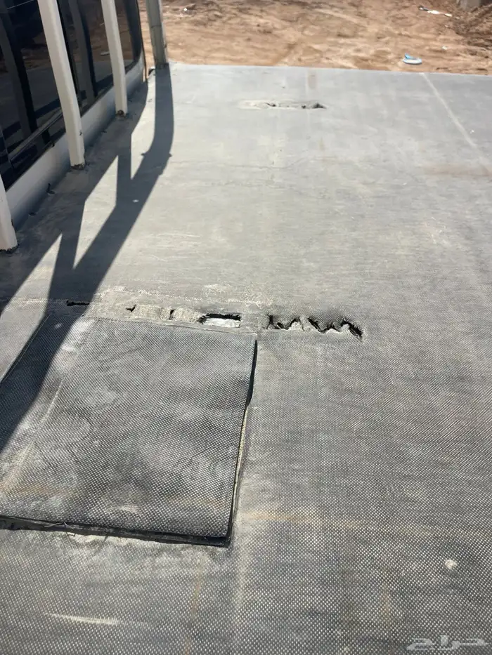 طبق طيور الحباري 5