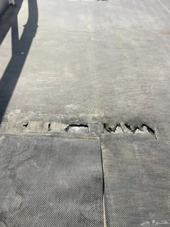 طبق طيور الحباري 3