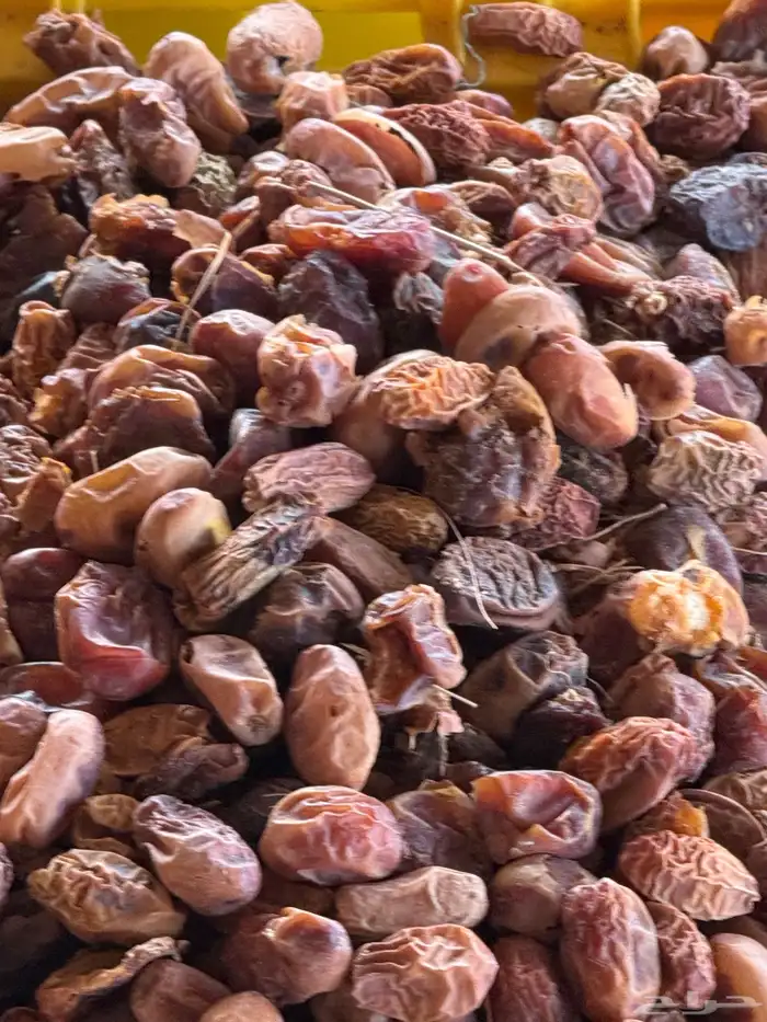 بيع تمر ناشف علف مواشي 3