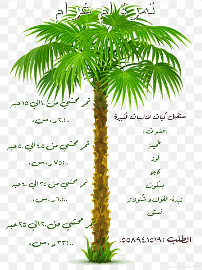 تمر محشي 0