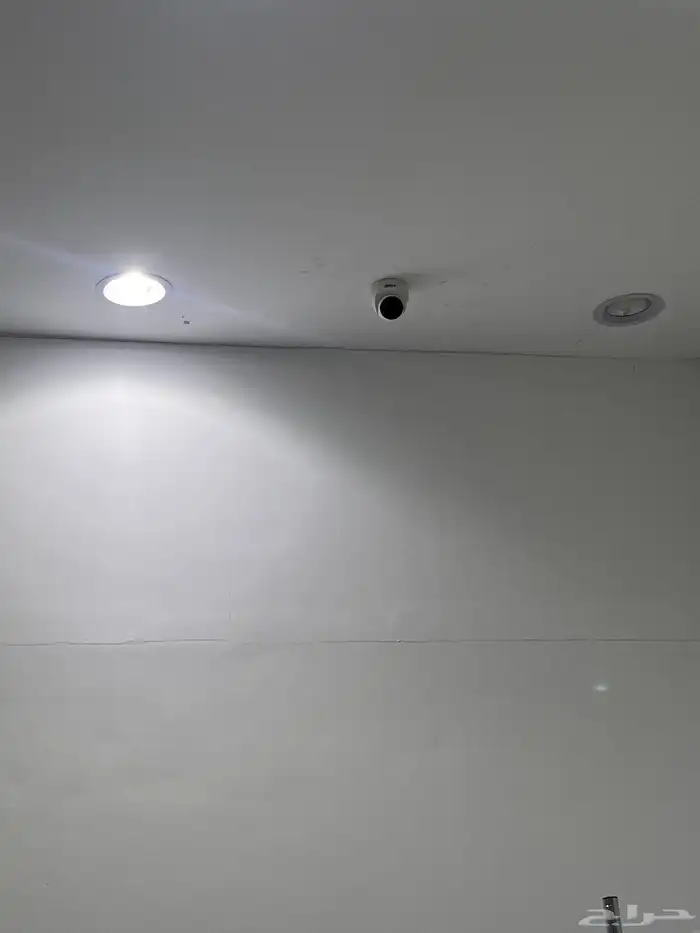 مطعم لتقبيل 24