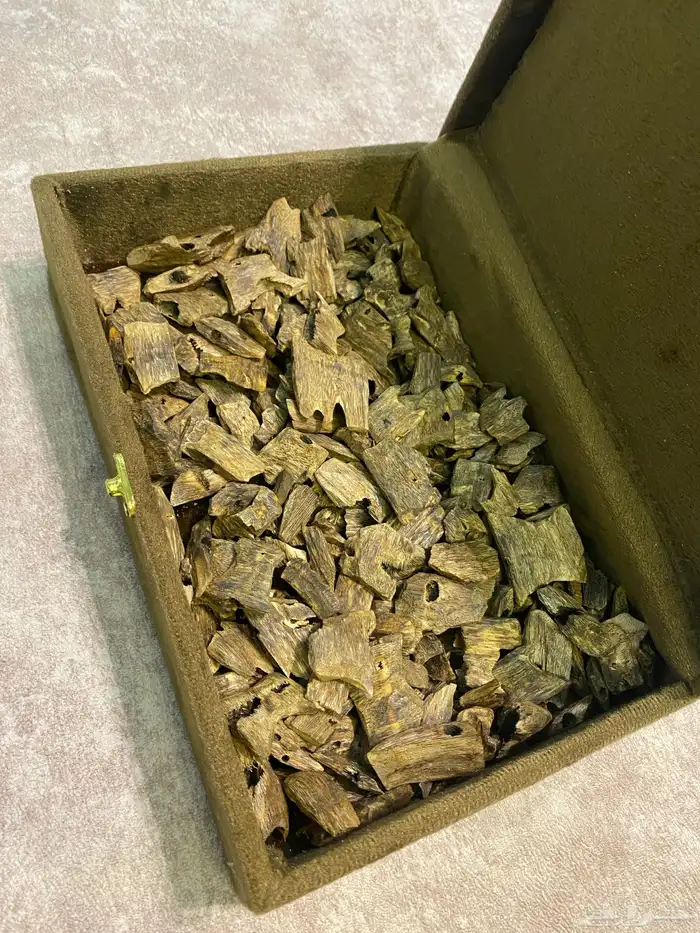 عود كينام صيني جودة وأسعار مميزة 1