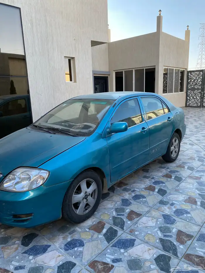 كوريلا 2003 3