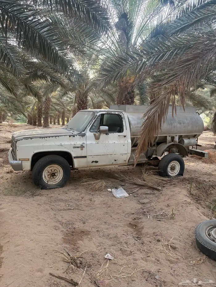 وايت جمس للبيع 3