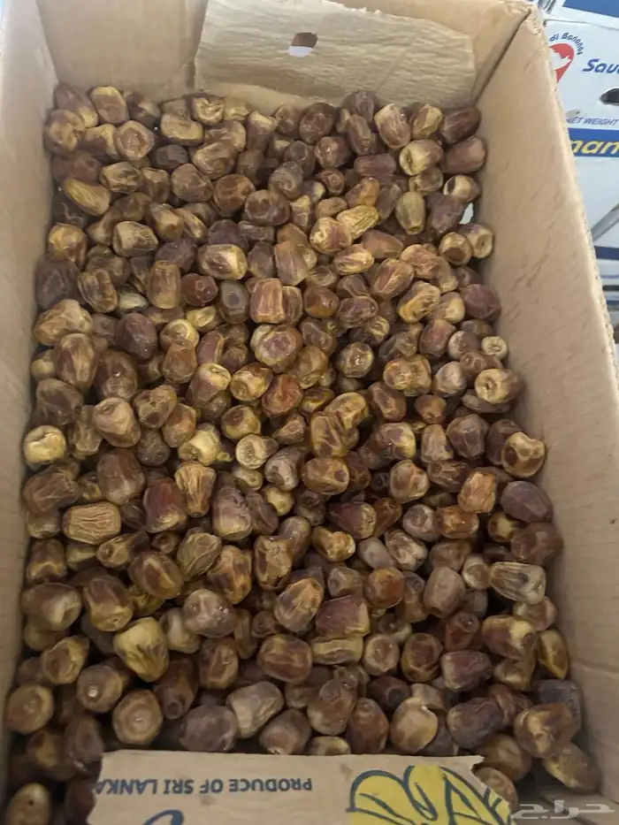 تمور منوعه للبيع 2