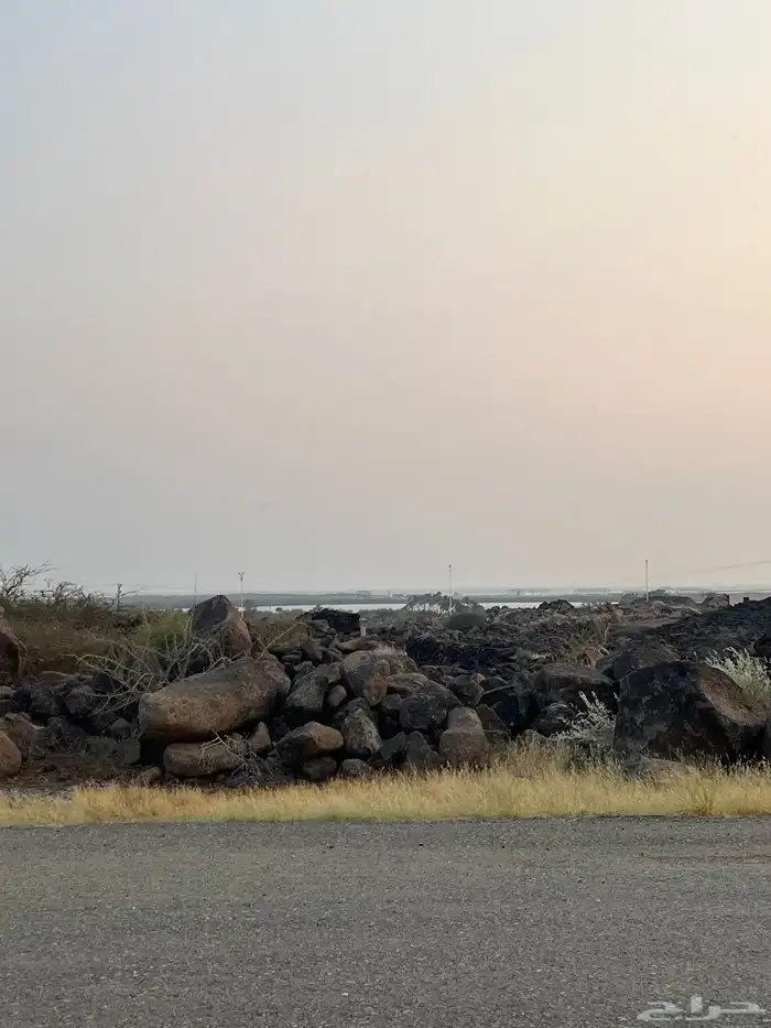 ارضين متجاورتين للبيع في الحريضه 4