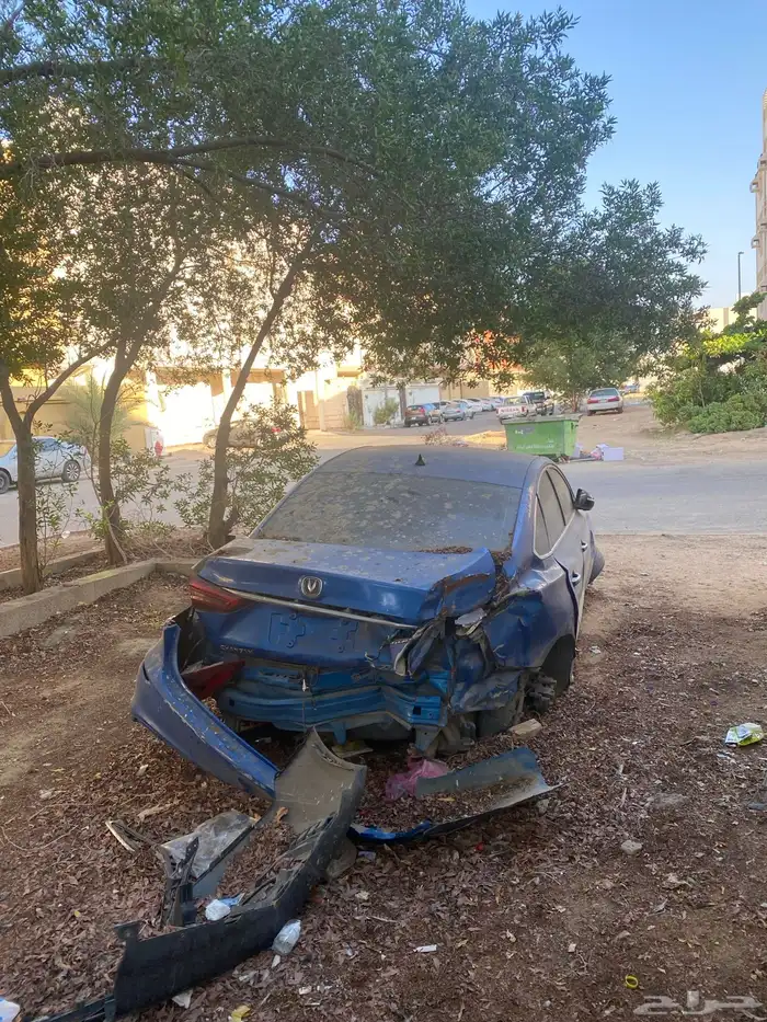 شانجان ايدو 2020 1