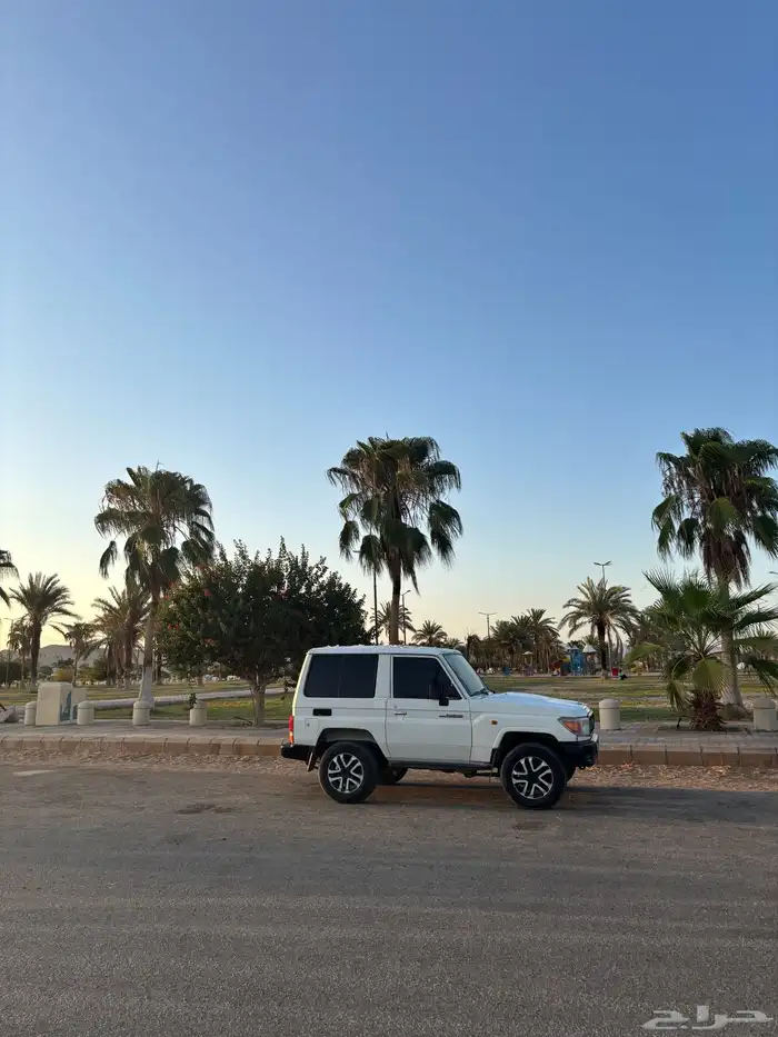 للبيع ربع 2009 2