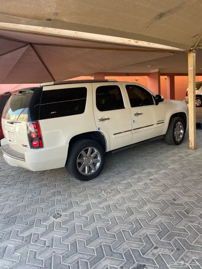 الخبر 19