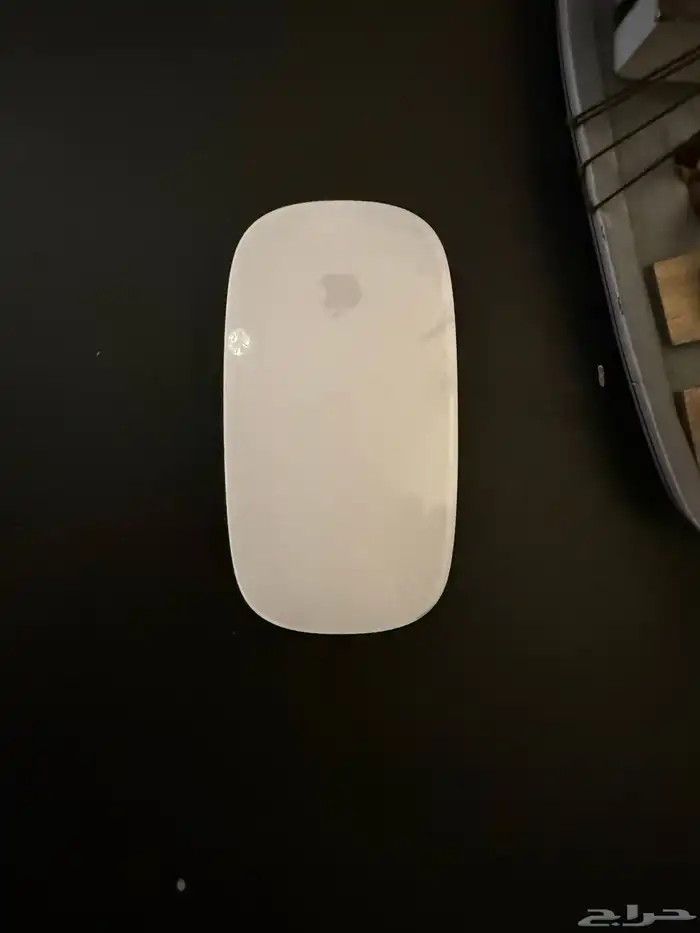 Apple Magic Mouse For Sale 0