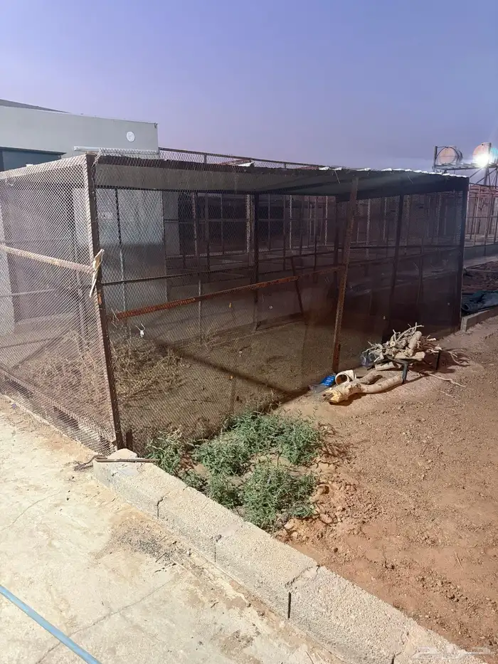 للبيع شبك طيور 3