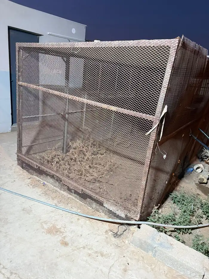 للبيع شبك طيور 0