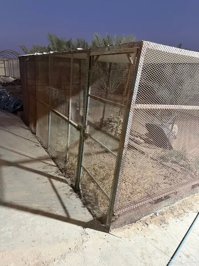 للبيع شبك طيور 1