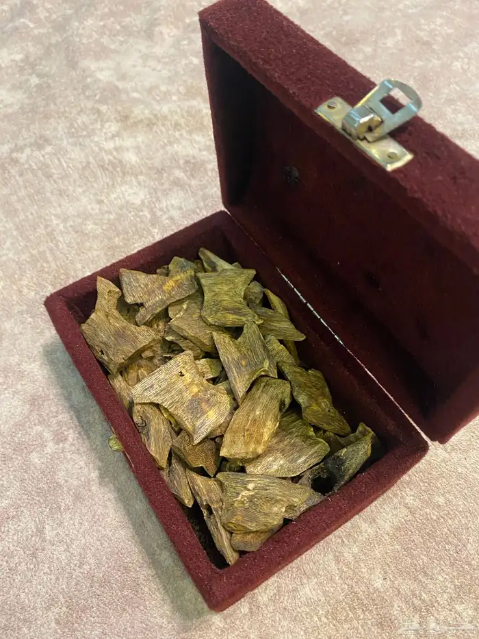 عود كينام صيني جودة وأسعار مميزة 0