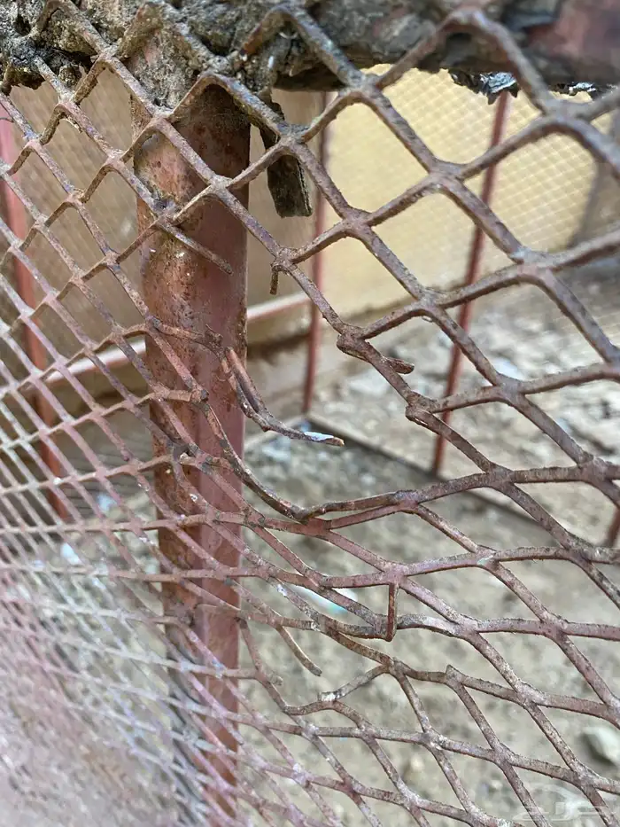 للبيع شبك دجاج 3