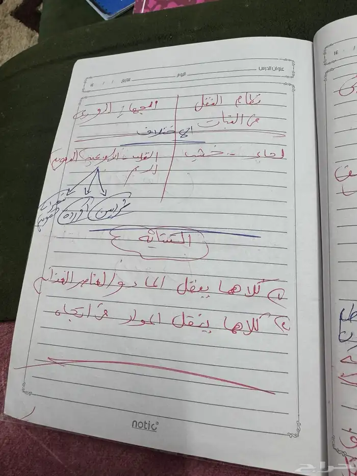 مدرسه خصوصيه ف خميس مشيط 7