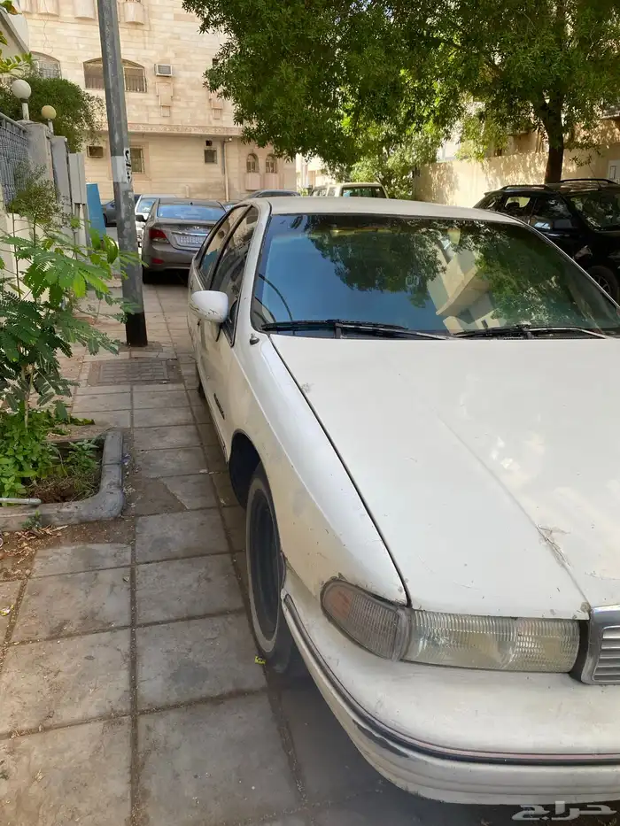 كابرس 91 LS 1