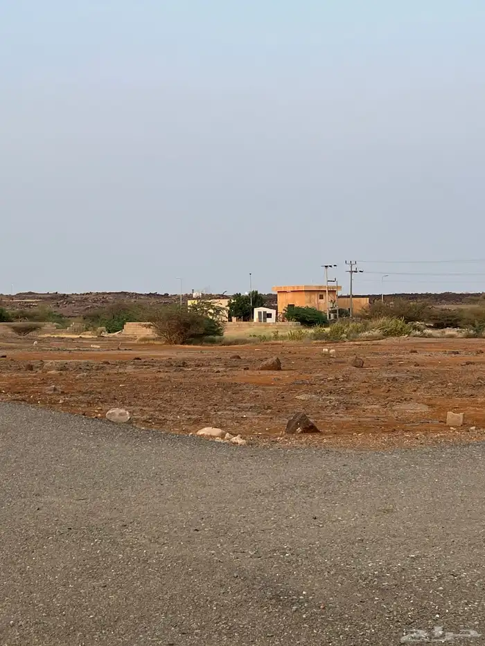 ارضين متجاورتين للبيع في الحريضه 1