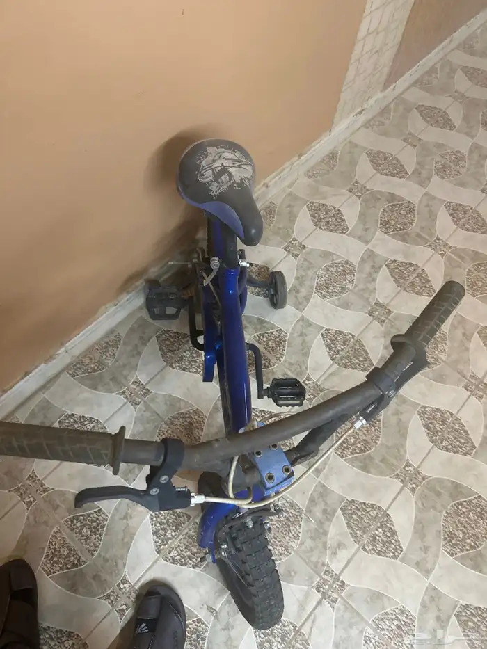 سيكل رامبو صغير 2