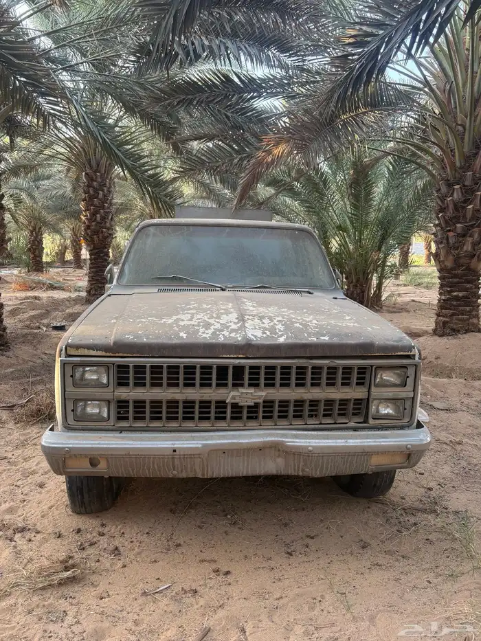 وايت جمس للبيع 2