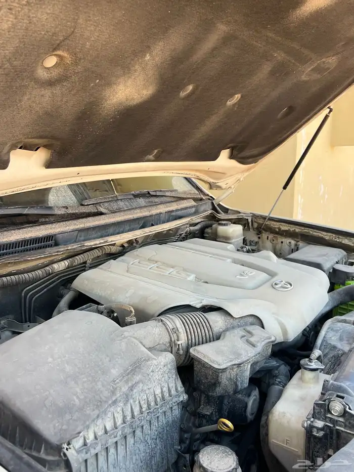 جكسار 11 مالك الاول 6
