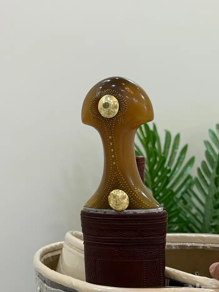 جنبيه 3