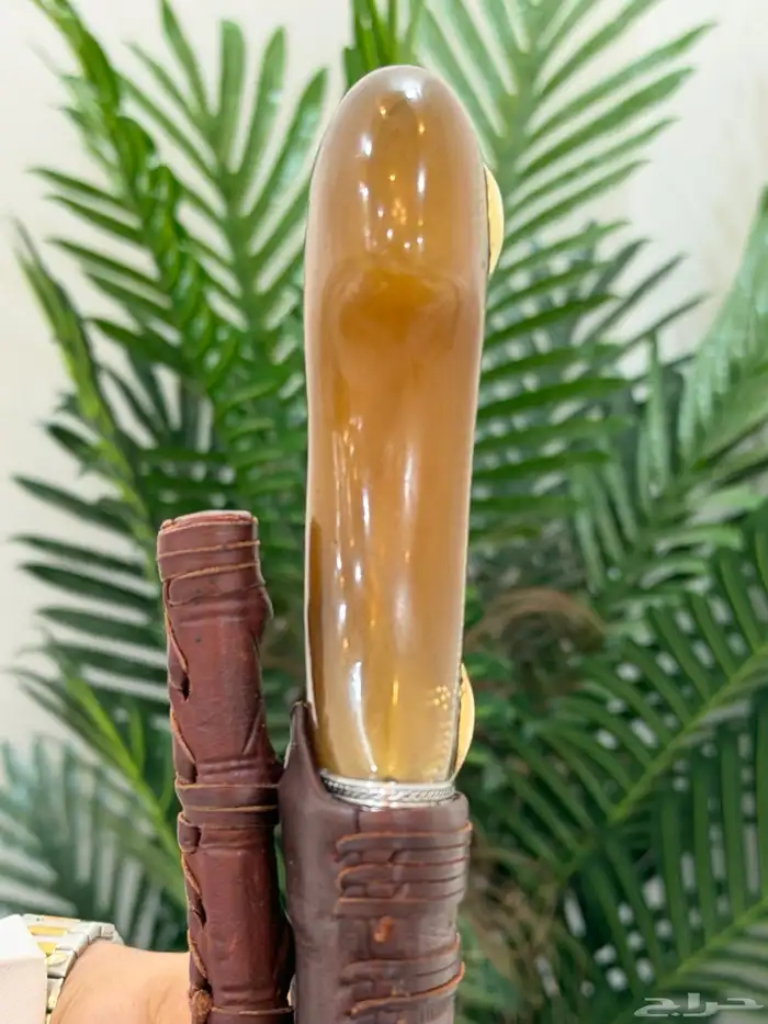 جنبيه 1
