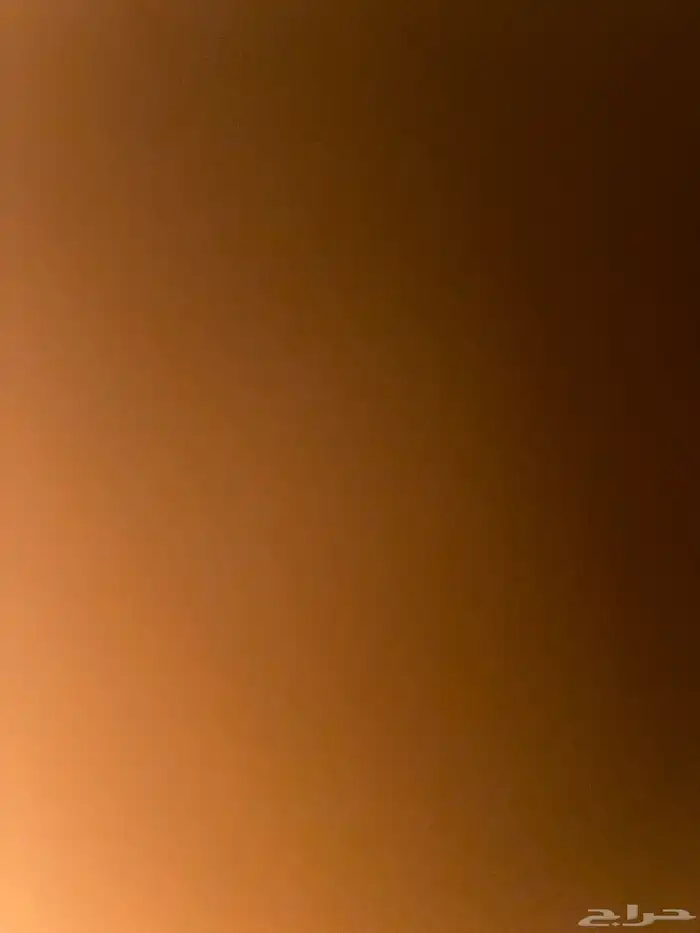 مهر اصفر مواليد الحره العمر8شهور 0